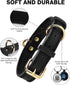 Joytale Genuine Heavy Duty Leather Dog Collars for Small Dogs, Soft Metal Buckle, QR ID Tag, Black, S