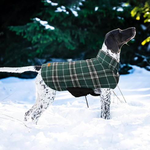 Kuoser Warm Dog Coat, Waterproof for X-Small Dogs, Adjustable Reversible Cozy Winter Jacket, Green XS