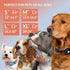 CollarDirect Airtag Dog Collar - Reflective Nylon Neoprene Leather Holder for Apple Air Tag for Large, Medium, and