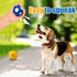 Soft Squeaky Dog Ball 2.56” - Latex Squeaky Toys for Medium and Small Dogs, 3pcs for Fetch and Chase