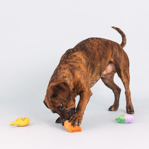 Fringe Studio Plush Dog Toy Set, Just Add Water, Small 3 Piece Set, Pet Shop Collection