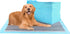 FluffyDream Super Absorbent Waterproof Dog and Puppy Pet Training Pad, Small-Size, Blue, 50 PCS