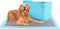FluffyDream Super Absorbent Waterproof Dog and Puppy Training Pad, Housebreaking Pet Pad, Small-Size, Blue (40 PCS)
