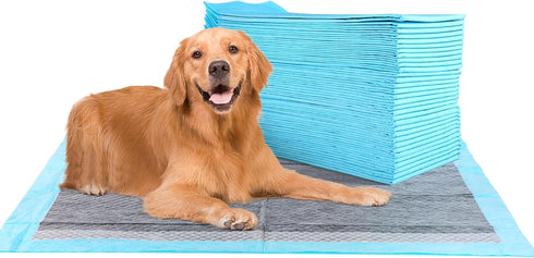 FluffyDream Super Absorbent Waterproof Dog and Puppy Training Pad, Housebreaking Pet Pad, Small-Size, Blue (20 PCS)