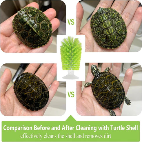 Turtle Brush with Suction Cup for Tank Scratches - Back Scrub and Shell Cleaning for Red Eared Slider - Exfoliate
