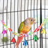 Hypeety Hamster Parrot Hanging Ladder Bridge Cage Swing, Acrylic Chew Perch with Metal Bell