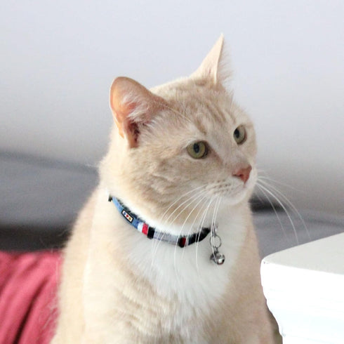 Pawtitas Pet Soft Adjustable Multicolor Cat Collar with Safety Buckle and Removable Bell, Green/White/Blue