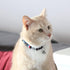 Pawtitas Pet Soft Adjustable Multicolor Cat Collar with Safety Buckle and Removable Bell, Green/White/Blue
