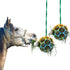 Besimple 2 Pack Horse Treat Ball Hay Feeder Toy, Goat Feeder Ball Hanging