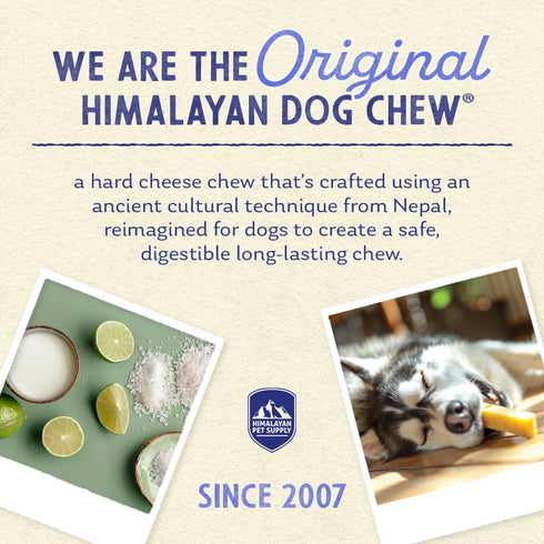Himalayan Dog Chew Premium Yak Cheese, 5 XL/Large Treats, 3.3 oz, All Natural, Long Lasting Chews for Dogs Under 65 lbs
