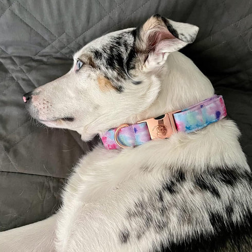 Elegant little tail Colorful Pattern Dog Collar, Durable Adjustable Pet Collar for X-Large Dogs