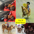 SEIS Pet Riding Costume Novelty Pet Supplies Cowboy Rider Horse Riding Designed Dog Apparel Party Clothing Halloween (M)