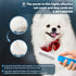 Grooming Comb for Dogs and Cats, Stainless Steel Fine Teeth for Detangling Matted Hair and Removing Loose Fur