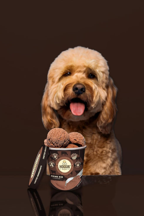 Packet, 4 Pack 4 count 4.65 oz Hoggin Dogs Ice Cream Mix - Just Add Water and Freeze, Doggy Ice Cream Mix Gifts