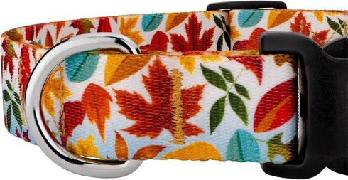 Country Brook Design 1/2 Inch Adjustable Dog Collar, Autumn Fall Collection for Small Medium Large Breeds (Brisk