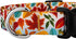 Country Brook Design 1/2 Inch Adjustable Dog Collar, Autumn Fall Collection for Small Medium Large Breeds (Brisk