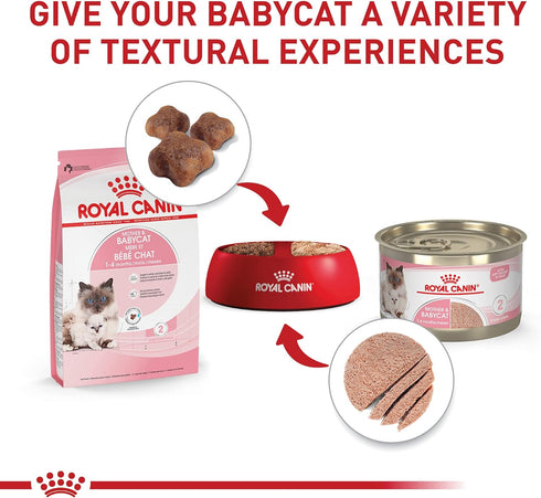 Royal Canin Feline Health Nutrition Mother & Babycat Dry Cat Food for Newborn Kittens and Pregnant or Nursing Cats, 6