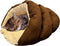 SPOT Sleep Zone Cuddle Cave - Cat Cave Bed for Indoor Cats and Mini Dogs, Washable for Kittens and Puppies under 10 lbs