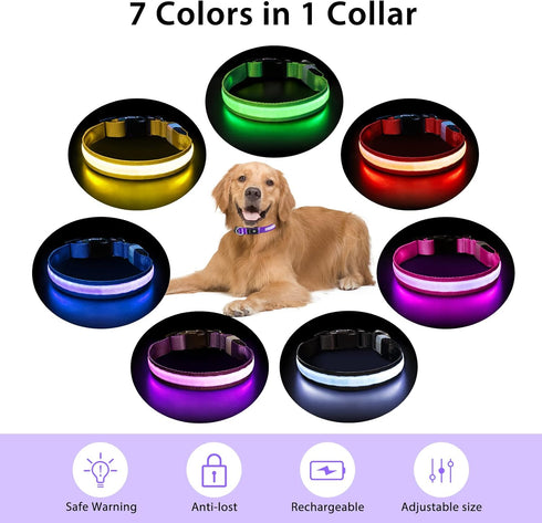 PcEoTllar Light Up Dog Collar for Night Walking - LED Rechargeable Color Changing, Glow in The Dark Waterproof Collars