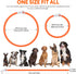 HIGO LED Dog Collar - Rechargeable Light Up Dog Collars, Lightweight Silicone Pet Safety Collar Lights for Night