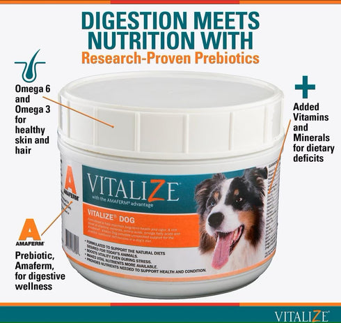 Vitalize Dog Digestive Health Powder - Relief for Constipation, Nausea, Skin & Coat Supplement, 1 Pound