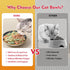 5.5 inch Wide Shallow Cat Food Bowl Set for Whisker Fatigue Relief, Ceramic, 6 Colorful Cute Dishes, 8 oz