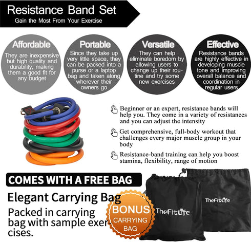 TheFitLife Exercise Resistance Bands with Handles, 5 Fitness Workout Bands, Stackable up to 300 lbs, Training Tubes