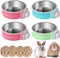 Rabbit Bowls Set, 4 PCS Big Pet Bunny Food Bowls and Stainless Steel Hanging Water Feeder for Big Bunny