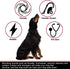 Dog Snood Neck and Ears Warmer, Knit Snood Headwear for Comfort and Grooming, Anti-Anxiety for Dogs (S)