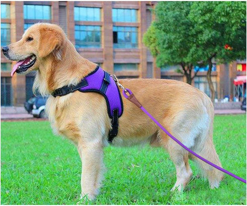 6FT/8FT/10FT Rope Dog Leash, 1/2” Strong Nylon with Leather Tailor Connection for Medium & Large Dogs