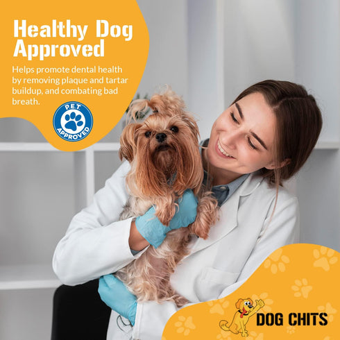 Dog Chits Bully Sticks for Dogs and Puppies | 6-inch, 20 Pack | Natural Healthy Long Lasting Chew Treats