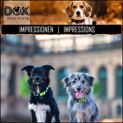 DDOXX Dog Collar Air Mesh, Adjustable & Padded for Small, Medium & Large Dogs, Yellow, XS