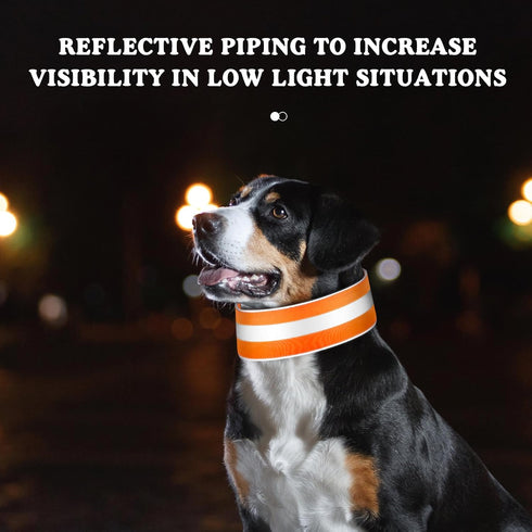 2 Pcs High Visibility Reflective Dog Collar, Adjustable Pet Collars with Quick Release Fastener for Small Medium Large