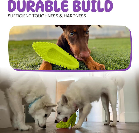Super Shoe Dog Toy for Aggressive Chewers, Rubber Natural Teething Toys, Treat Dispenser and Toothbrush for Small