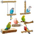 Bird Perches, 6pcs Natural Wood Stand Branches, Chewing Stick Accessories for Parakeet Lovebirds