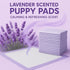 CLEAN SPACES 28"x34" 50 Count Lavender Scented Puppy Pads Extra Large, Super Absorbent Disposable Pee Pads for Dogs