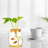 Desktop Fish Bowl, Clear Glass Small Fish Tank with Wood Lid and Bamboo Stand for Betta Fish