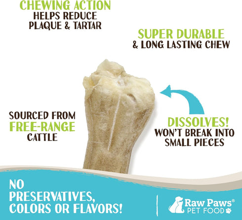 Raw Paws 6-inch Compressed Rawhide Bones for Dogs - 10-Count, Long Lasting Chews, Natural Pressed Rawhides