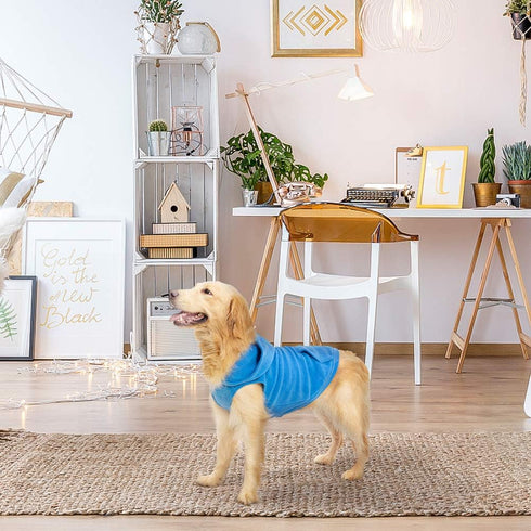 EXPAWLORER Polar Fleece Dog Hoodie with Pocket, Warm Cozy Sleeveless Sweater for Small to Large Dogs (Blue, S)