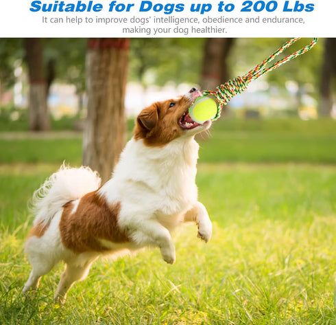 Spring Pole Dog Rope Toy - 16.8 ft Rope & Spring Pole Kit with 2 Chew Rope Toys for Medium Large Dogs