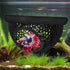 Bingche 6pcs 3-in-1 Hammock Pets(Color1) Floating Cave Fish Shrimp Hideout Shelter Feeding Ring Resting Spot for Betta