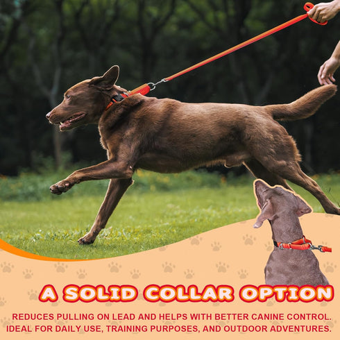 Light-Reflective Martingale Dog Collar for Whippets, Greyhounds, Saluki, American Bully - Adjustable Heavy Duty No-Pull