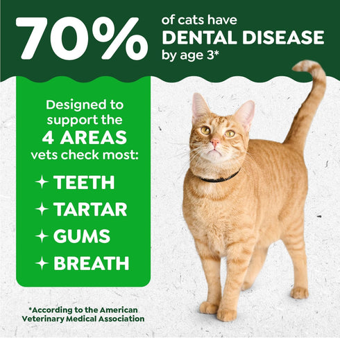 Veterinarian-Recommended 4.6 oz. Greenies Cat Treats, Feline Adult Natural Dental Cat Treats, Oven Roasted Chicken