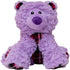 Health Extension SNUG AROOZ Bella The Bear Stuffed Animal for Dogs, Durable Soft Squeaky Toy for Chewers, Purple