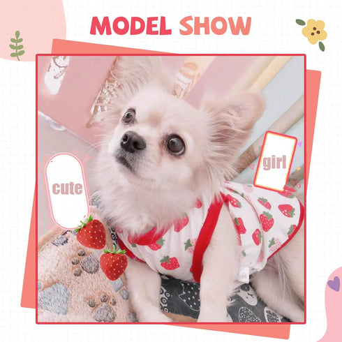 Small Dog Shirt - Cute Puppy Cat T Shirt Clothes - Soft Cotton Sleeveless Tee for Small Dogs Cats Summer Vest (Red