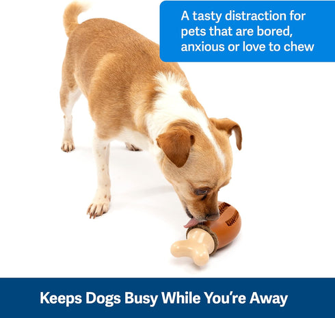 PetSafe Busy Buddy Chompin' Chicken Dog Toys – Treat Ring Holding Chew Toy – BPA Free Rubber – Chicken Scented – Interactive Pet Puzzle for Boredom or Separation Anxiety – Small to Large Dogs