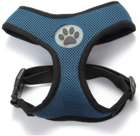 BINGPET Dog Vest Harness - Lightweight Breathable Sports Mesh Adjustable Harness for Small Dogs