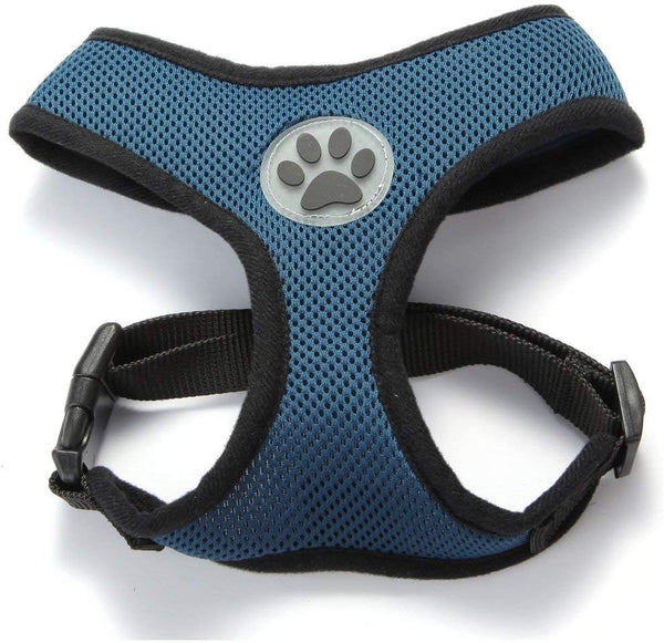 BINGPET Dog Vest Harness - Lightweight Breathable Sports Mesh Adjustable Harness for Small Dogs