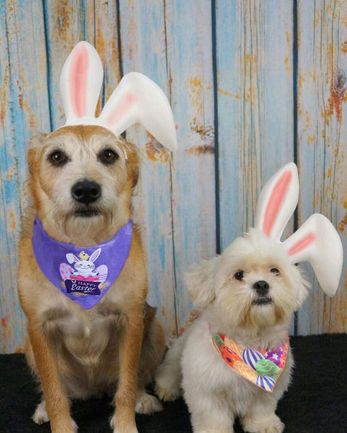 2 Pack Dog Easter Bandana - Triangle Bibs Pet Scarf for Small to Large Dogs and Cats