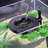 Water Flow Controller for Betta Fish Tank, Aquarium Water Change Pouring Diffuser, Efficiency Filling Accessories